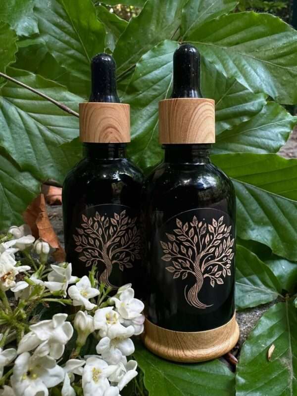 Blue Tansy – Essenz in GMP DMSO